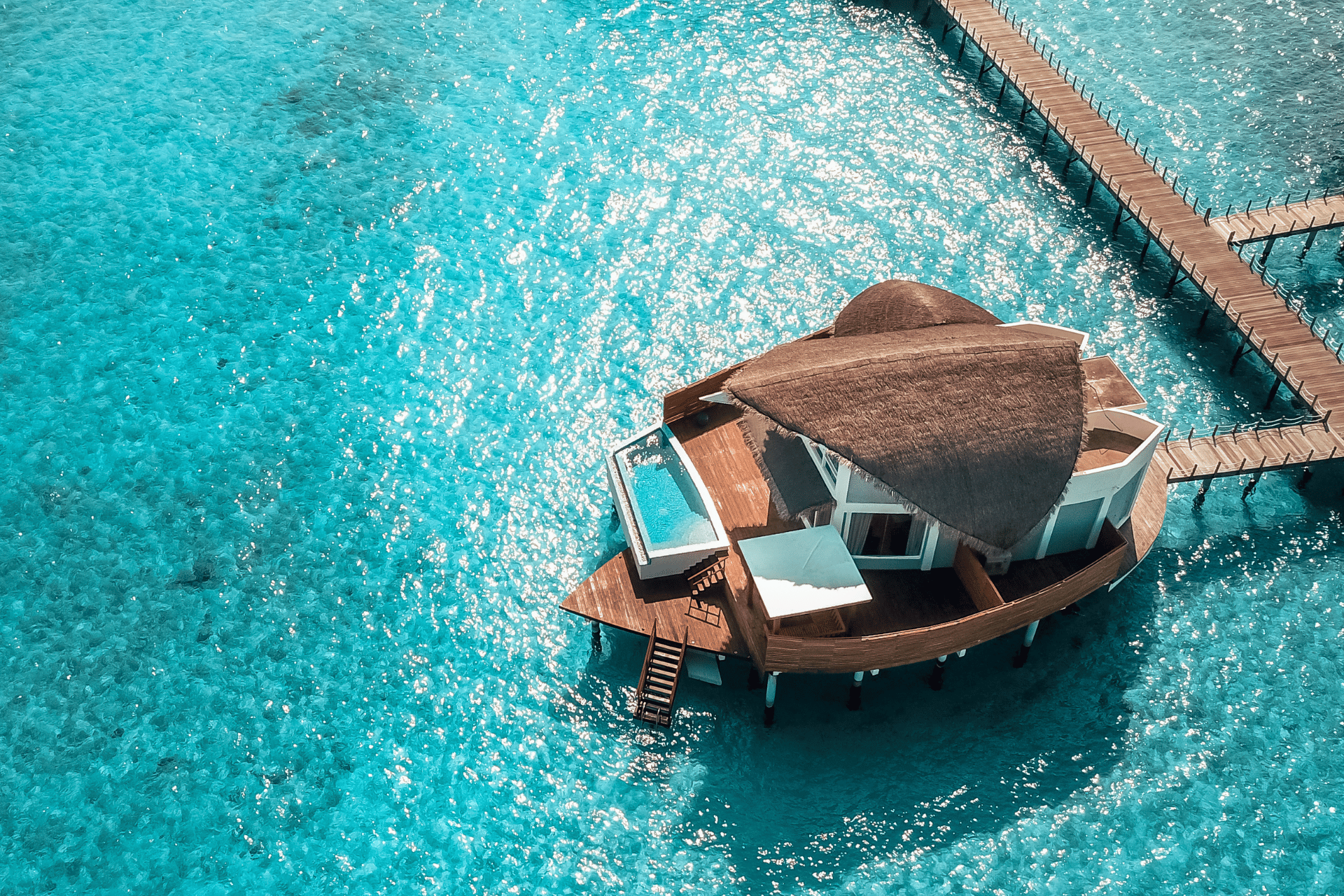 Setting the Standard: How WLCC’s Luxury Travel & Hospitality Committee Drives Global Excellence 