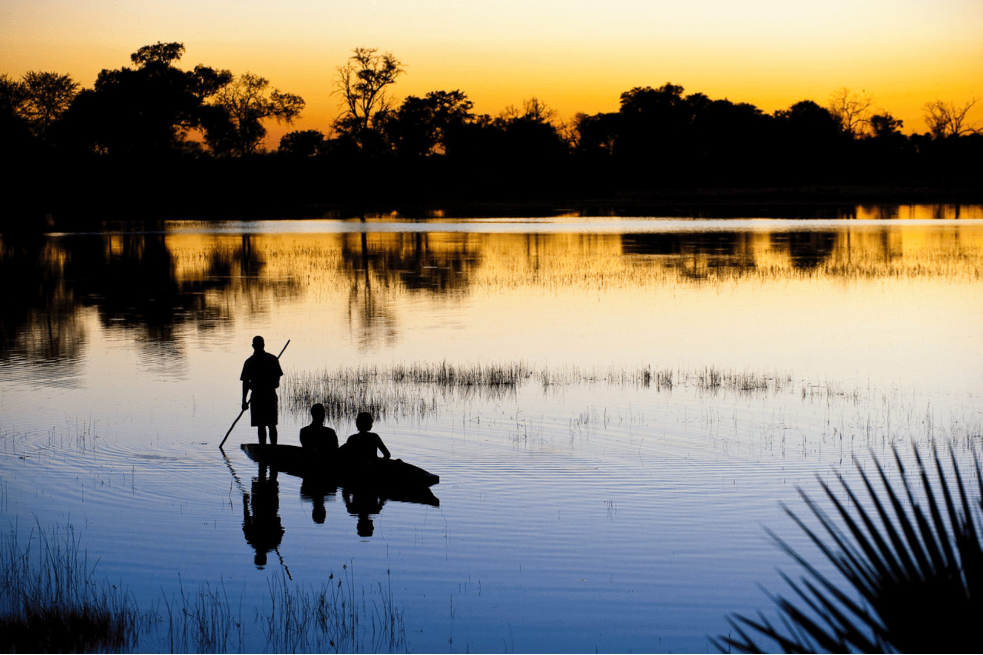 Africa&You
