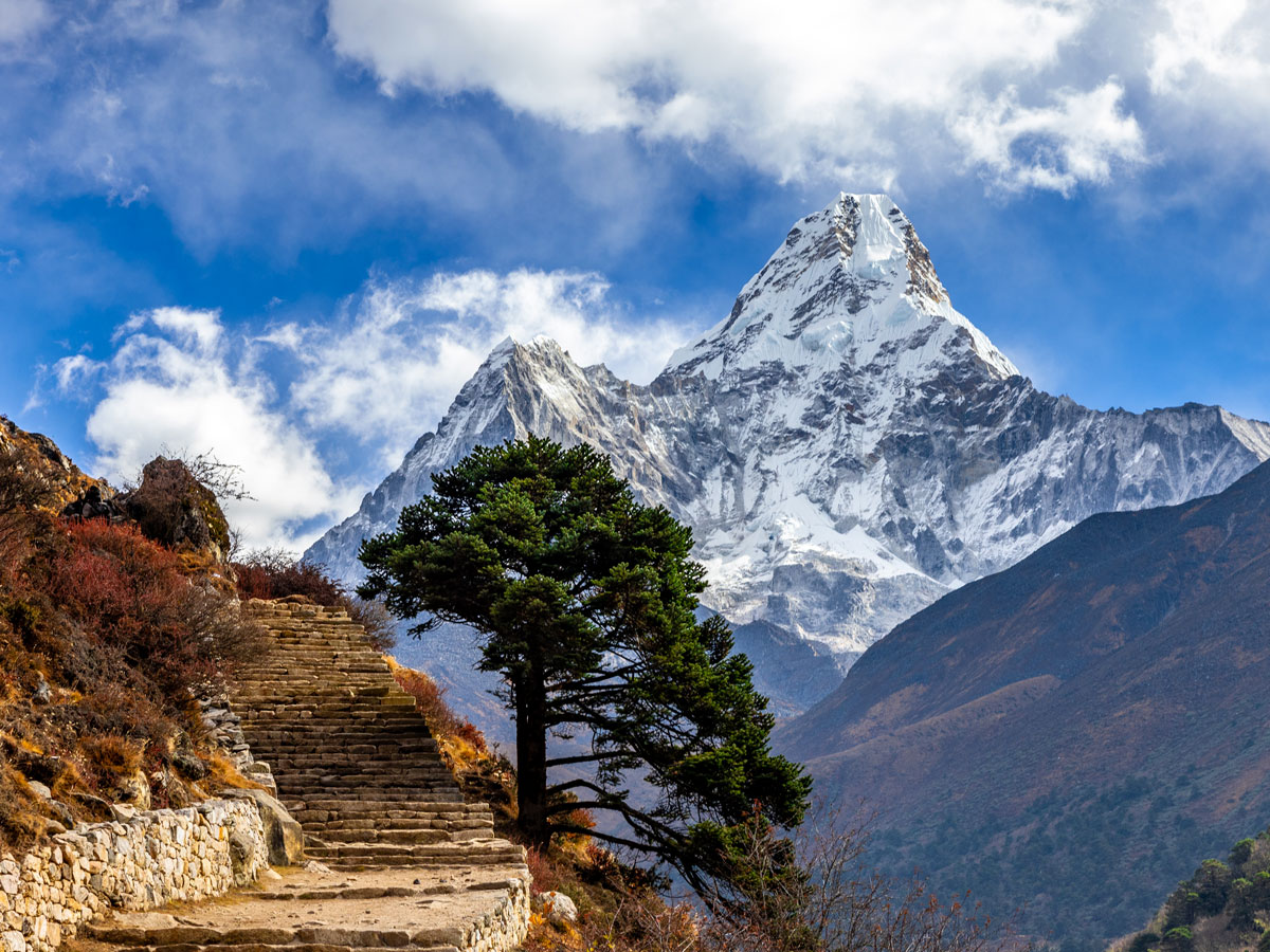Ace the Himalaya Pvt.Ltd.