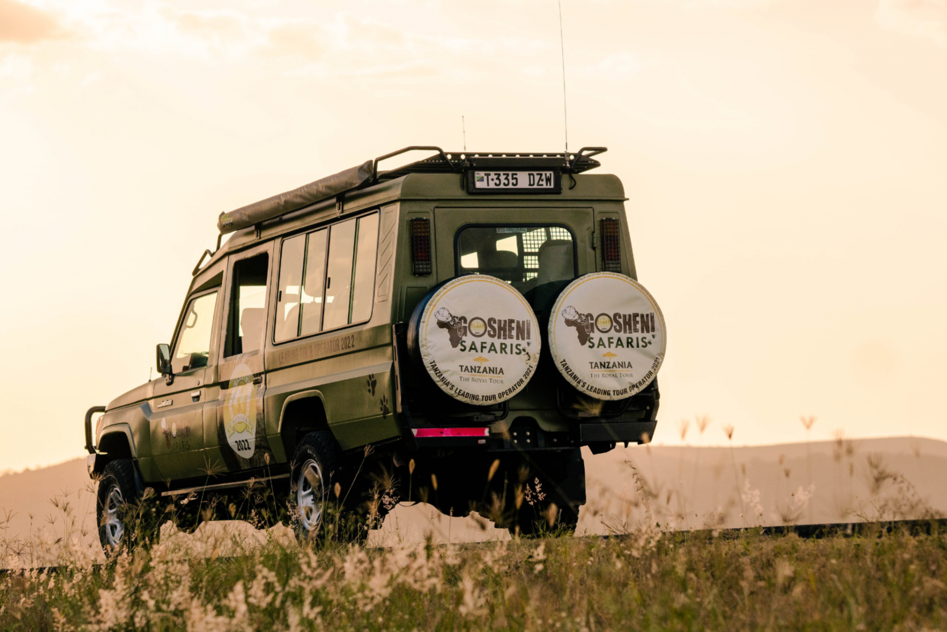 Gosheni Safari