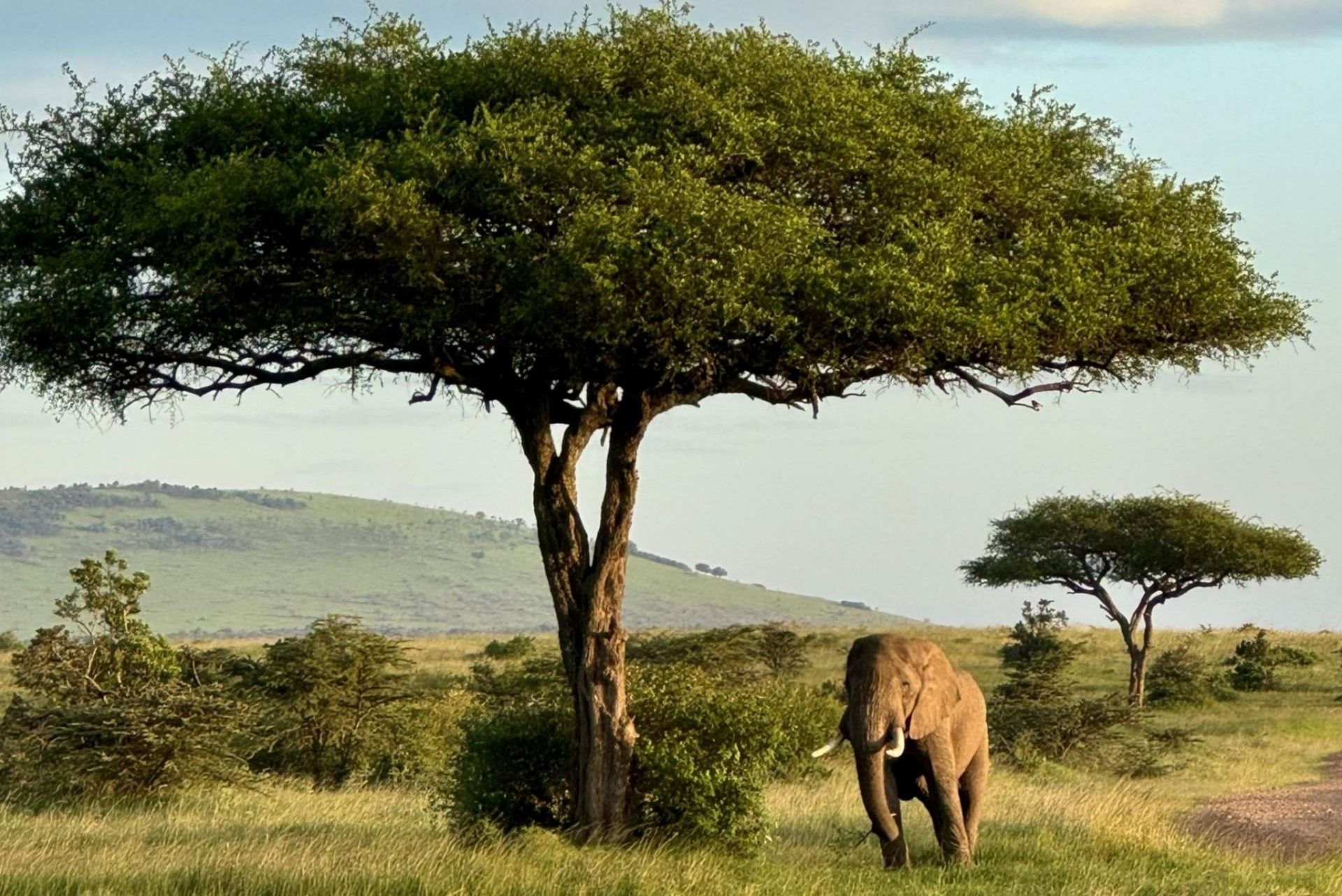 AMFM Luxury and Adventure Travel