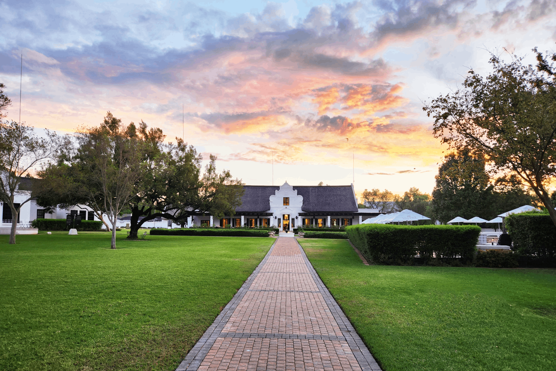 Kievits Kroon Gauteng Wine Estate